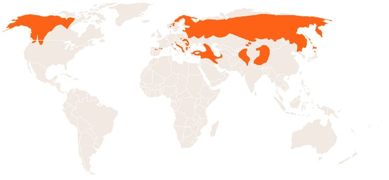 File:Global distribution of grizzly bears.jpg