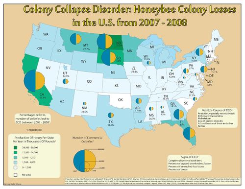 A map showing the distribution of CCD cases in USA between 2007-2008 along with honey amount of honey produced