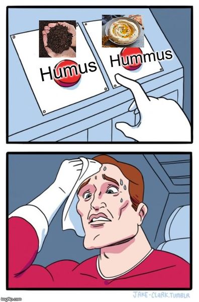 File:Hummus or Humus.jpg
