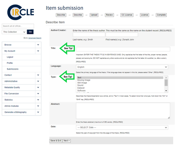 Describe Item page 1. Consult the tips that follow to complete the fields Title and Type.