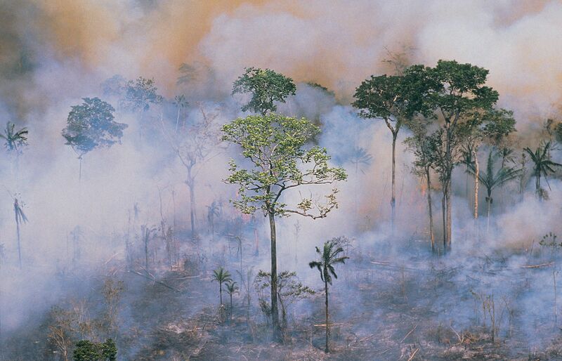 File:Slash-and-burn Amazon deforestation.jpg