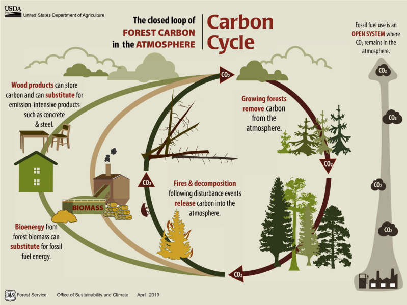 File:Closed vs Open Carbon system - USDA Forest Service.png
