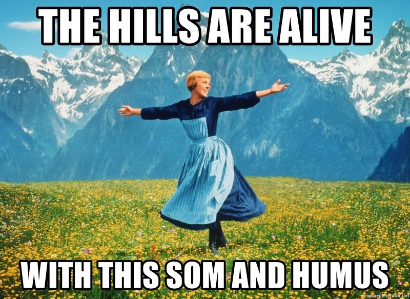 File:The-hills-are-alive-with-this-som-and-humus.jpg