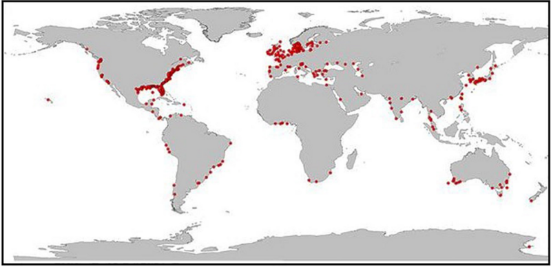 File:Global Distribution of Eutrophic Coastal Marine Ecosystems.png