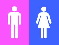 Gender binary.jpg