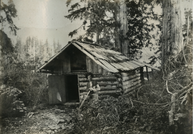 Unidentified Photographer, [Log cabin], [between 1900 and 1910?] (UL_1022_01_0007)