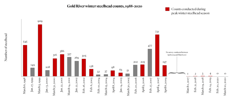 File:Gold River Winter Steelhead counts 1988-2020.png