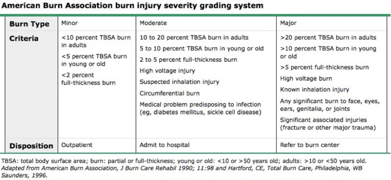File:Skin Disorders burn severity grading.png