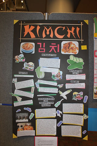 File:FNH200 2010w Poster Kimchi.JPG