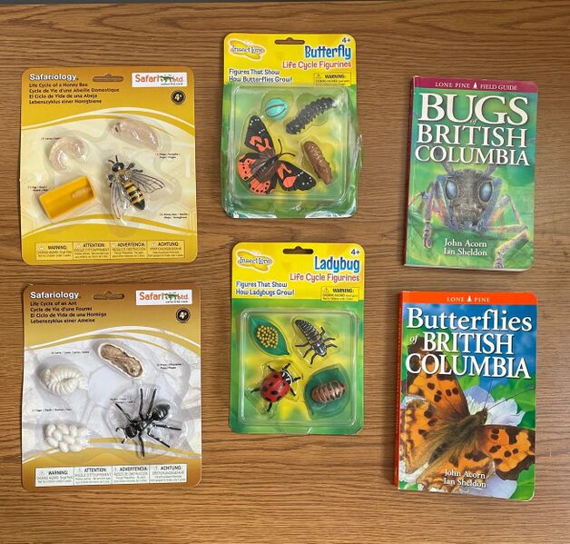 File:Insect Lifecycle and Identification books.jpg