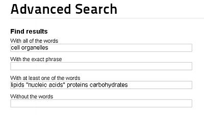 MIT Advanced Search.jpg