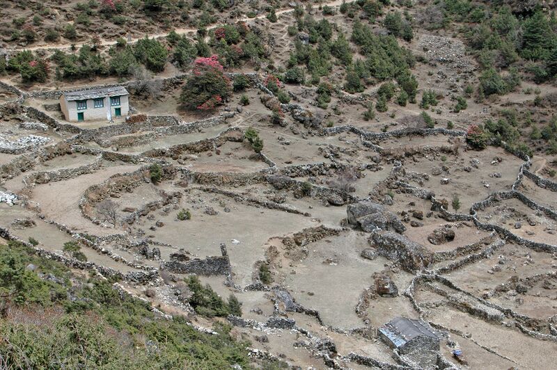 File:Eroded farmland, Nepal.jpg