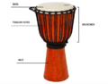 Labelled diagram of the Djembe.png