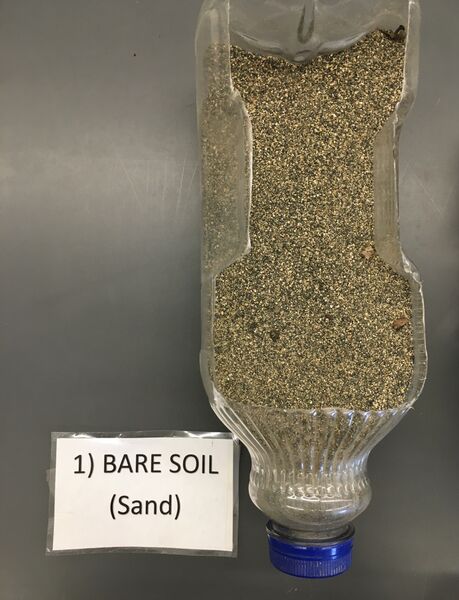 File:1 bare soil sand.jpg