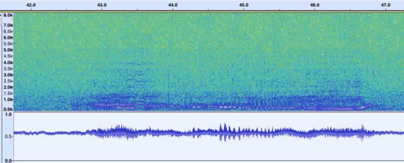 File:Humpback Whale Gurgle Waveform and Spectrogram.png