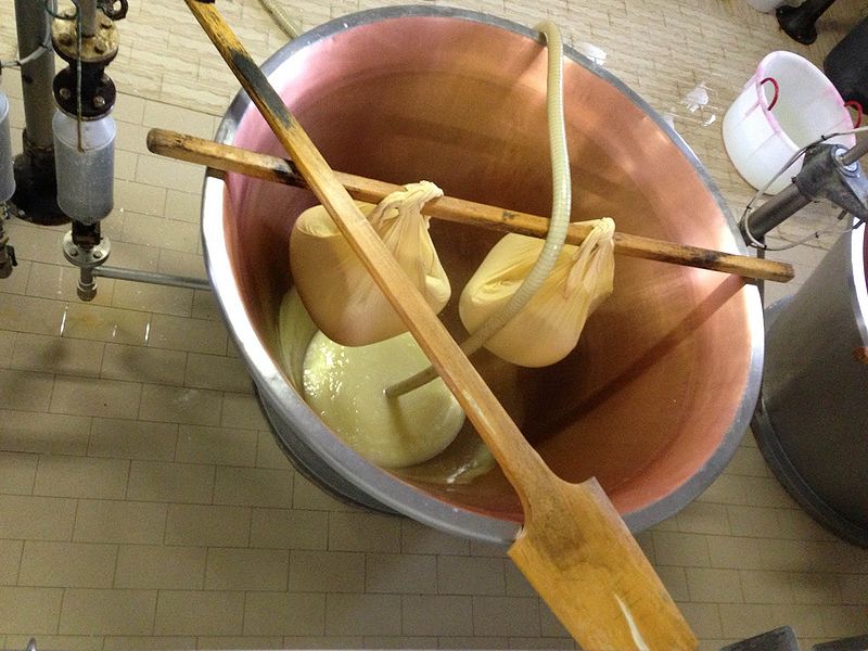 File:Cheese Processing.jpg