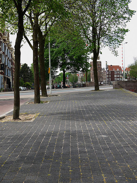 File:A photo of trees on the wide walking path along the quay of Prins Hendrikkade in Amsterdam.jpg