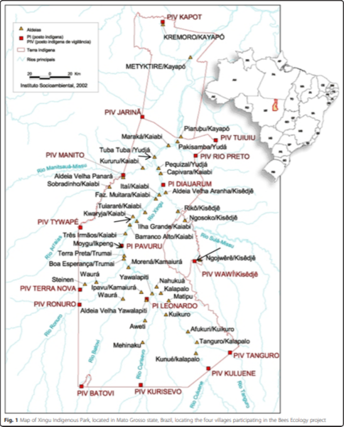 File:Map of Xingu Park.png