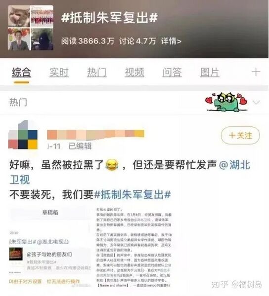 File:"Boycott Zhu Jun".jpg