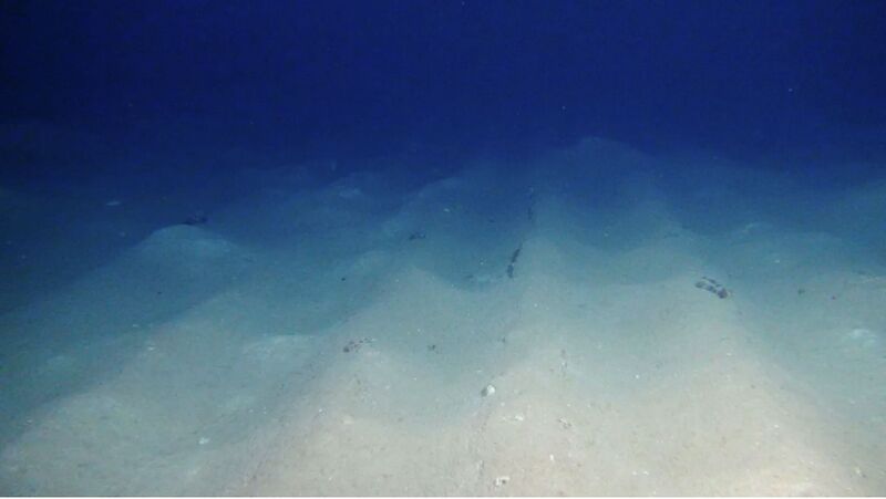 File:Seafloor marks from sand mining.jpg
