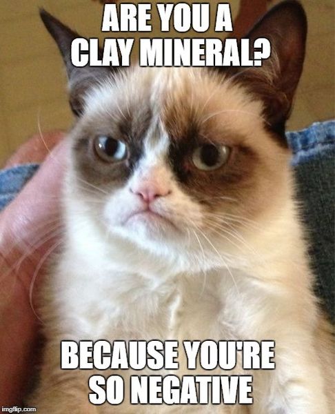 File:Meme soil Grumpy cat Clay.jpg