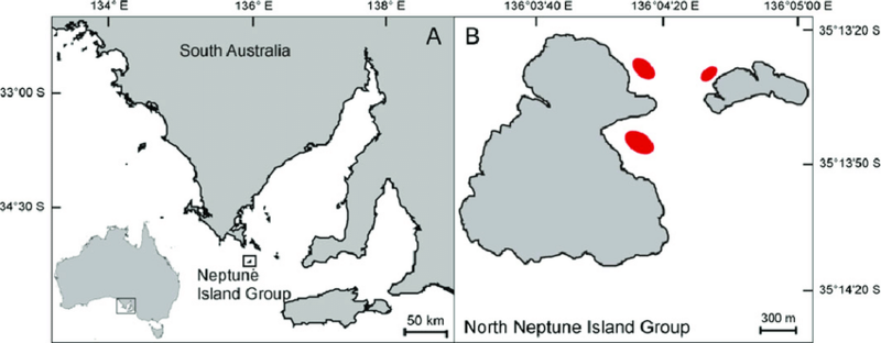File:Neptune Islands, Australia.png