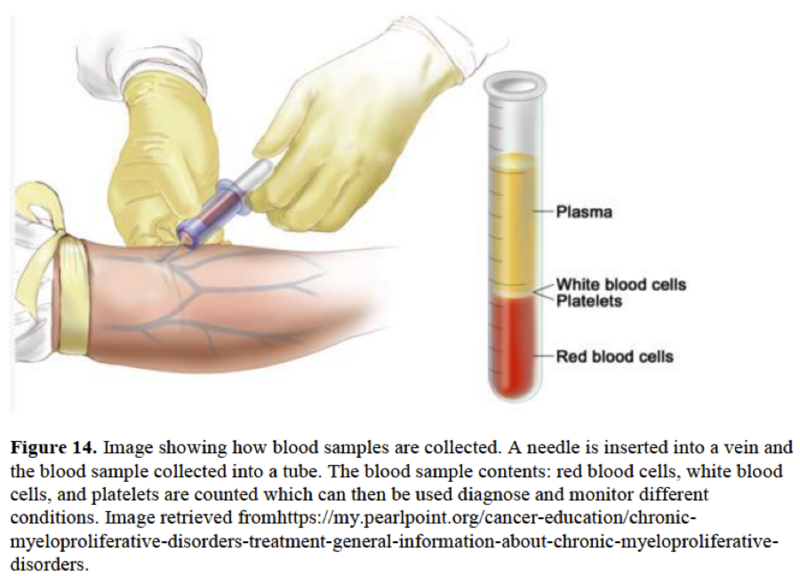 File:01 collecting blood.png