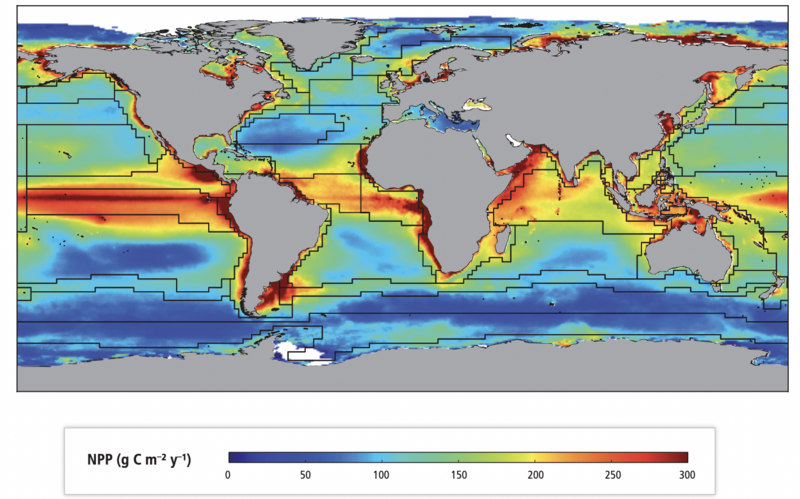 File:Figure 1.1 - Composite map of global areal Net Primary Production (NPP).png