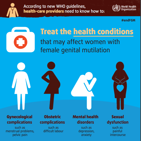 File:Infographics of FGM.png