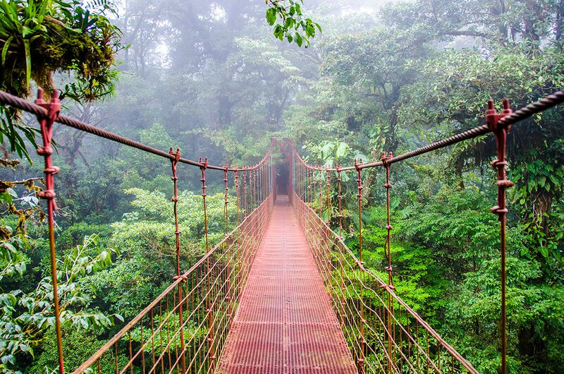File:Monteverde-cloud-forest-reserve.jpg