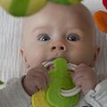 Infant Grasping a Toy.jpg