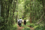 Image shows a community patrol walking in a forest.