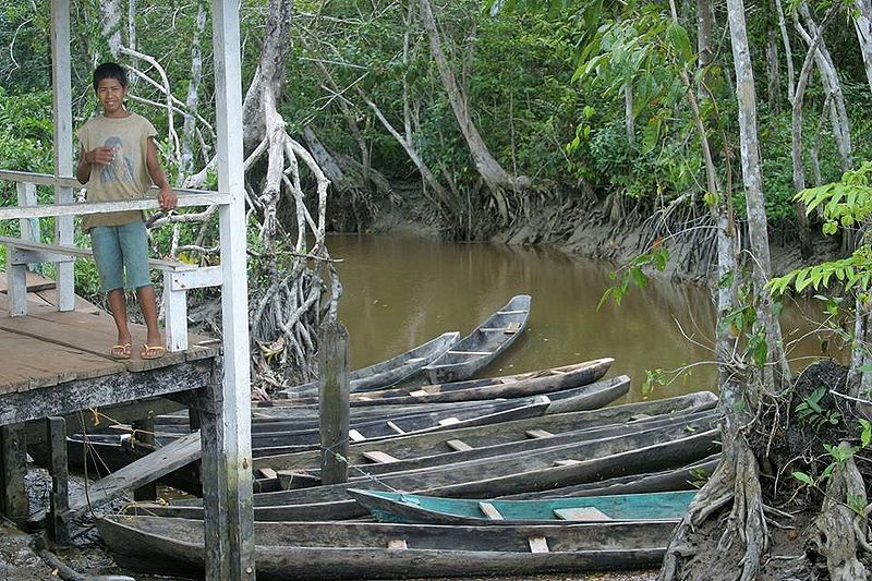 File:Warau canoes.jpg