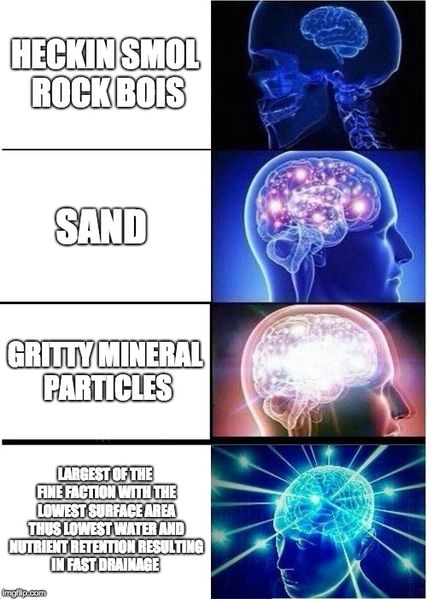 File:It's not just called "sand".jpg