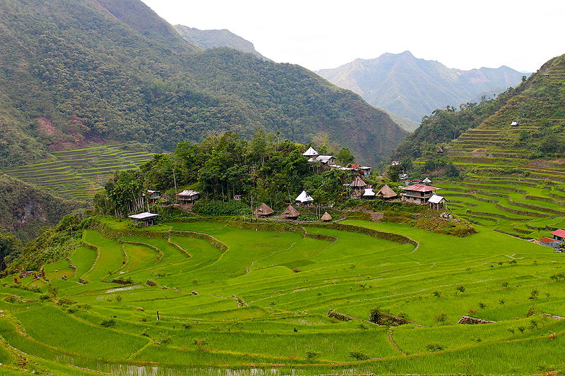 File:"2,000+ Year Old Rice Terraces and Community in the Philippines" (Photo by Amber Heckelman).JPG