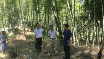 The experts are offering guidance to the farmers in Huoshan.jpg