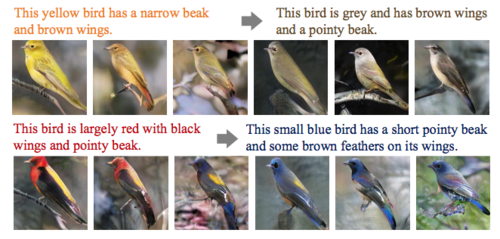 Hierarchically-nested Adversarial Network.