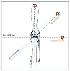 Knee joint`s degree of freedom