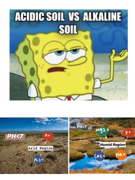 File:Acidic soil VS Alkaline soil (xinyue zhang).jpg