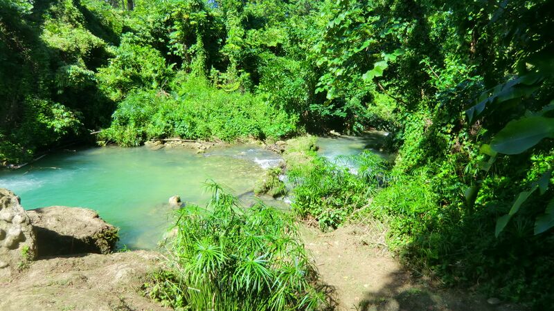 File:Jamaica; A River in the Rainforest of Cranbrook Forest Park.jpg