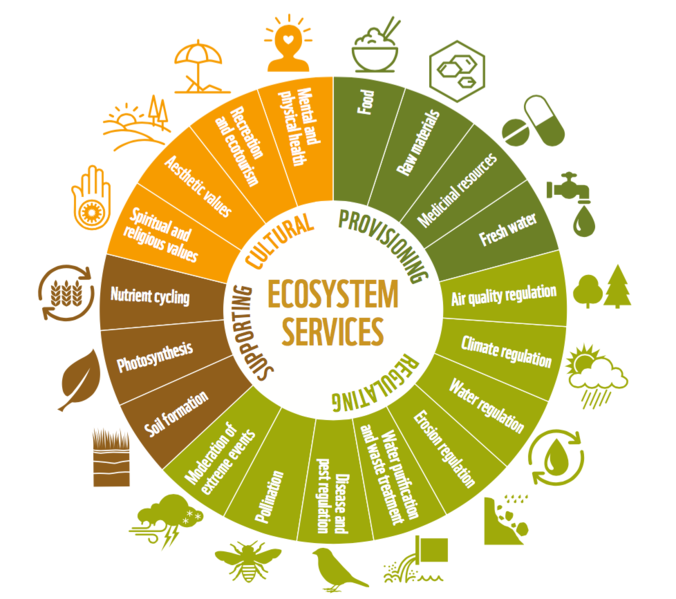 File:Ecosystem Services Types.png
