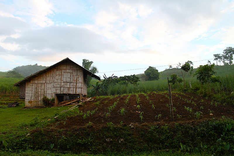 File:"Small Farm in the Philippines" (Photo by Amber Heckelman).JPG