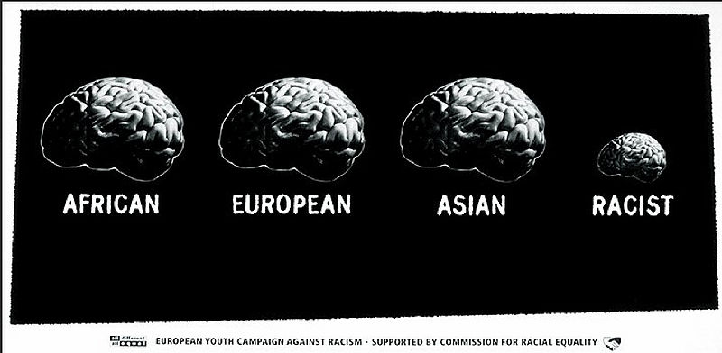 File:The Racist Brain.jpg