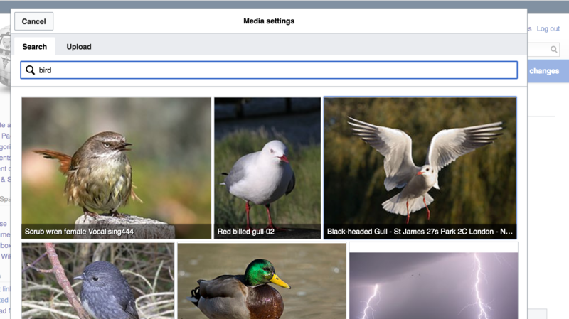 File:Embedding images from wikimedia commons.png