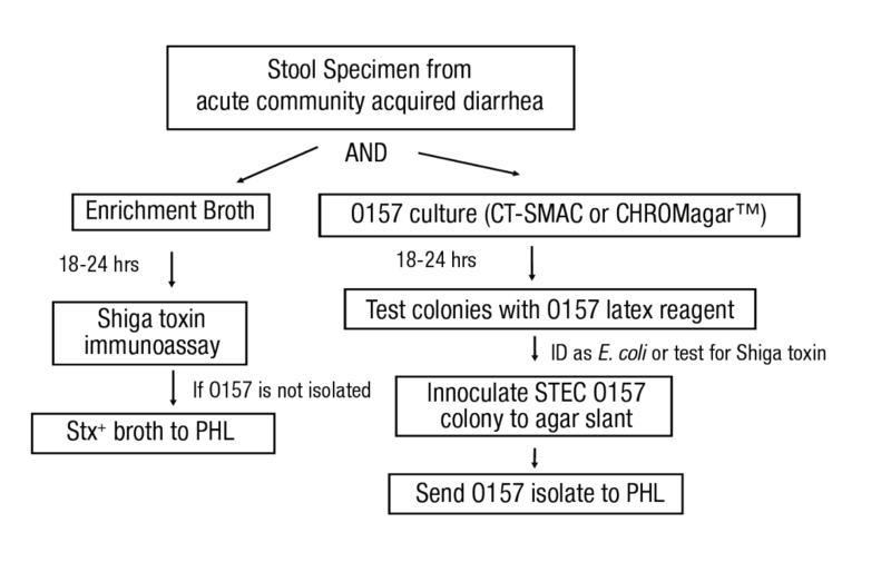 File:Figure 3. Overview of clinical laboratory recommendations for the isolation and characterization of Shiga Toxin-producing E. coli from clinical specimens. Reprinted from (4).png