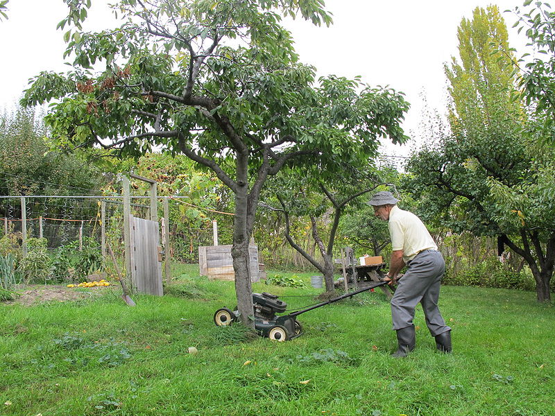 File:Al demonstrating how to mow around trees.jpg