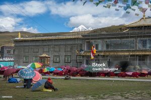 Tibetan Nuns Praying.jpg