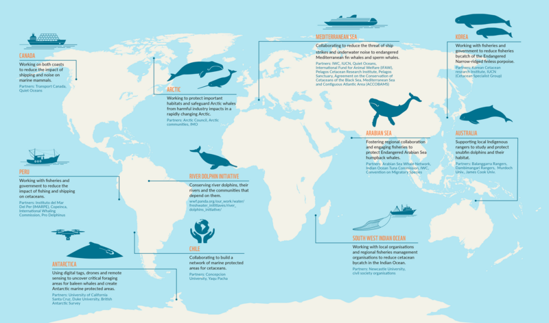 File:A Selection of WWF Conservation Projects Worldwide.png