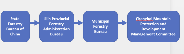 Forestry administrative system of Changbai Mountain.png