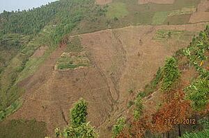A continuous steep brown hill makes up the photograph. In the foreground are clusters of green and orange vegetation ranging in size. The mid-ground is marked with agricultural lines running horizontally across the slope, and the background is a forested area. In the lower right corner is the date 30/05/2012 in orange text.